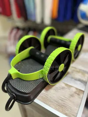 Support Roller