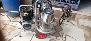 Double Milking Machine