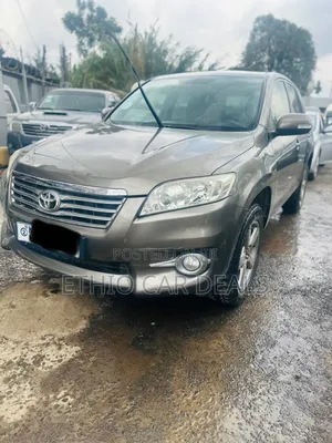 Toyota RAV4 2012 Brown