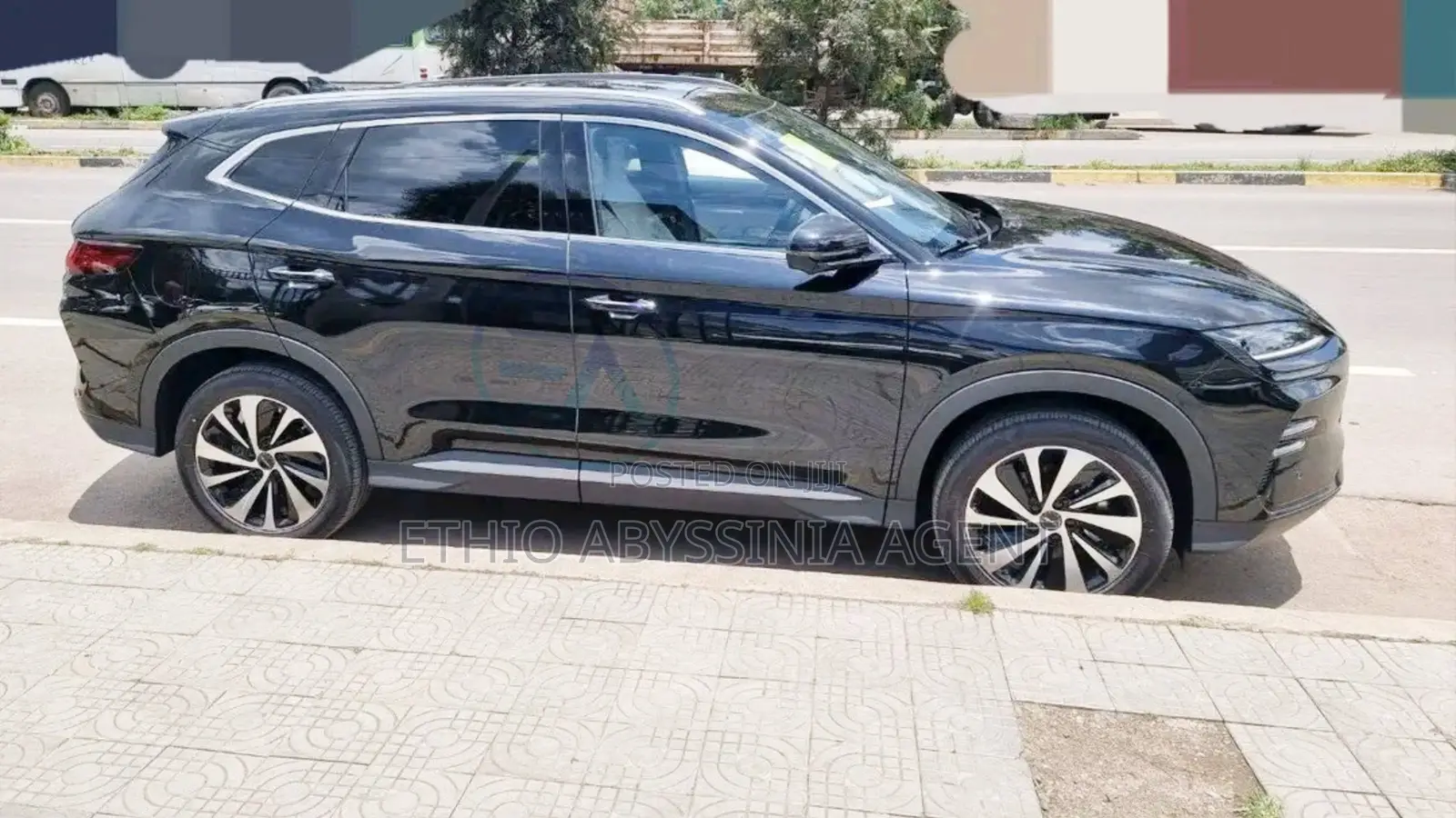 Byd Song+ Rental