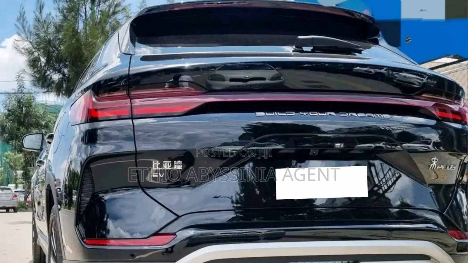 Byd Song+ Rental