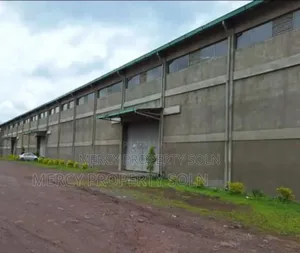Warehouse for Rent Debre Birehan መጋዘን ኪራይ ደ/ብርሃን አከባቢ