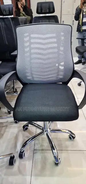 Office and Staff Chair