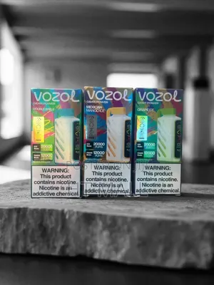 Vozol Puffs Disposable Vape – Rechargeable