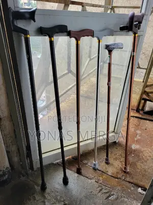 Adjust Walking Stick Explore Our Wide Range//Move Challenges