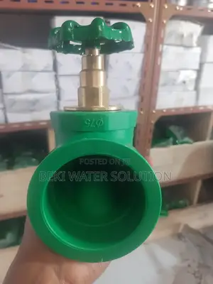 PPR Gate Valve 75"