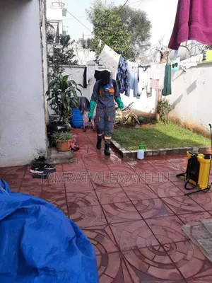 Td Pest Control Service