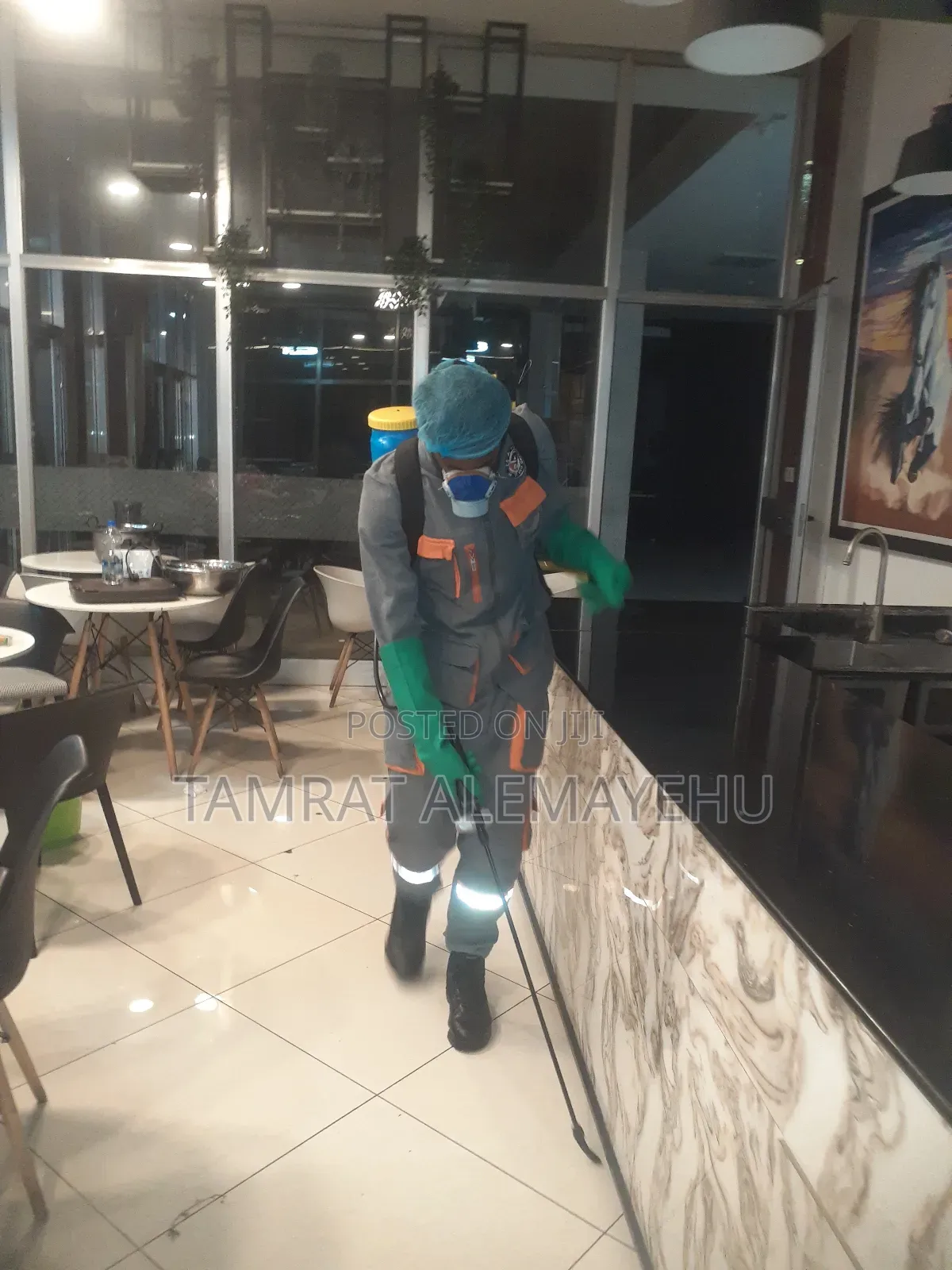 Td Pest Control Service
