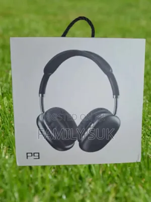 Entertain With P9: The Ultimate Companion for Entertainment