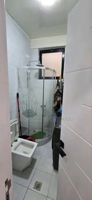 Furnished 3bdrm Apartment in አዲስ አበባ, Nifas Silk-Lafto for sale