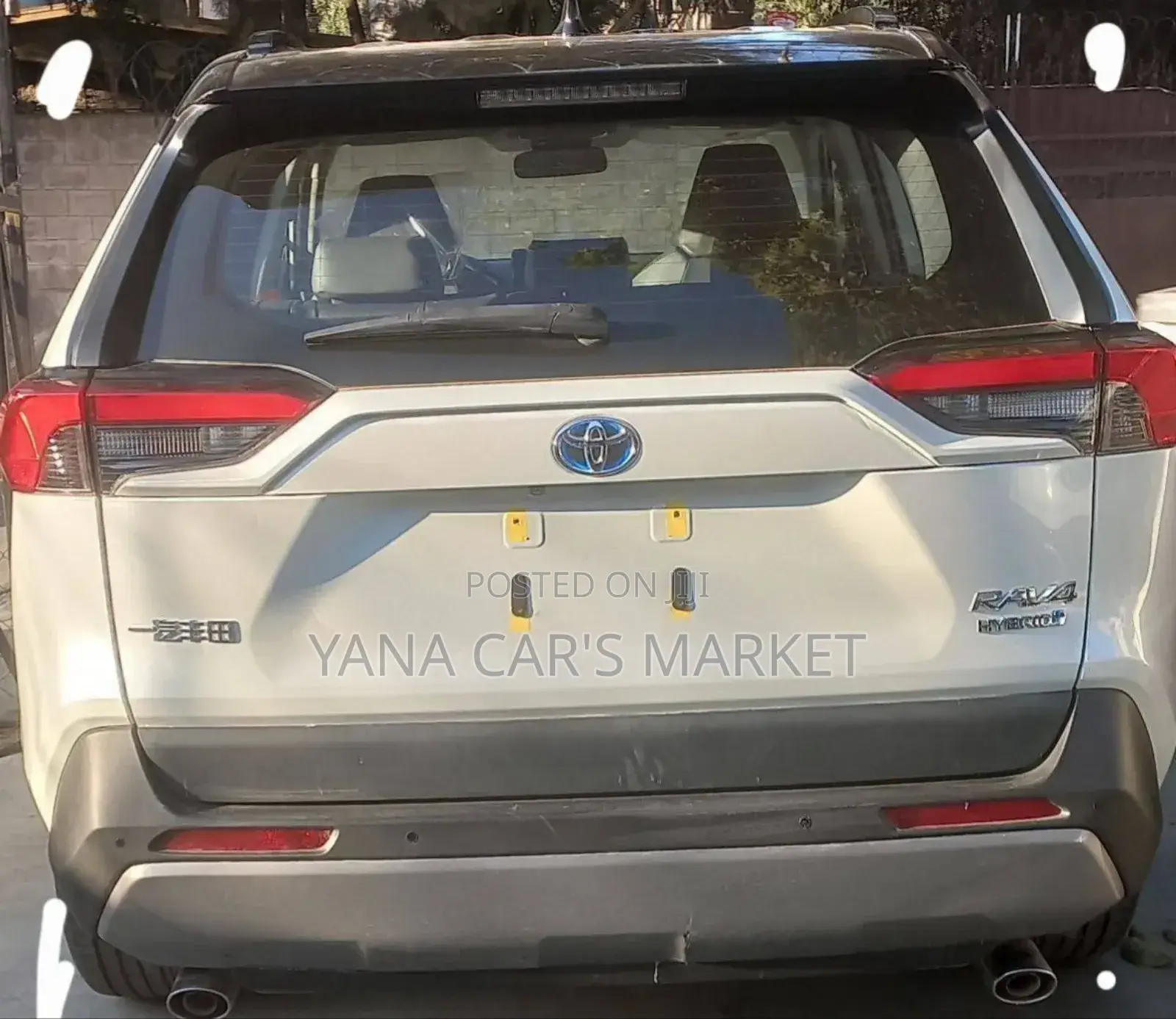 New Toyota RAV4 Hybrid 2024 White