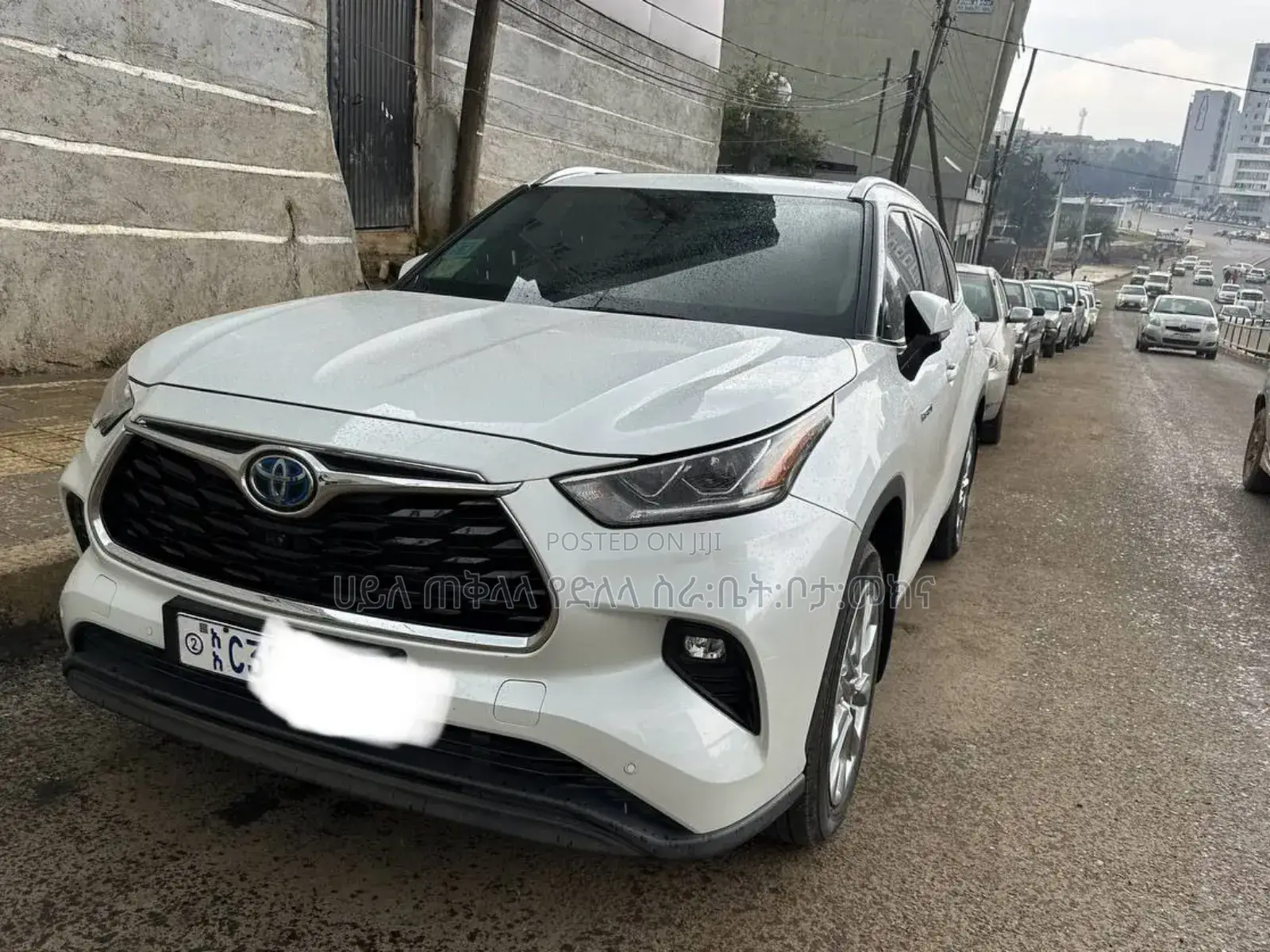 Toyota Highlander Hybrid 2024 White