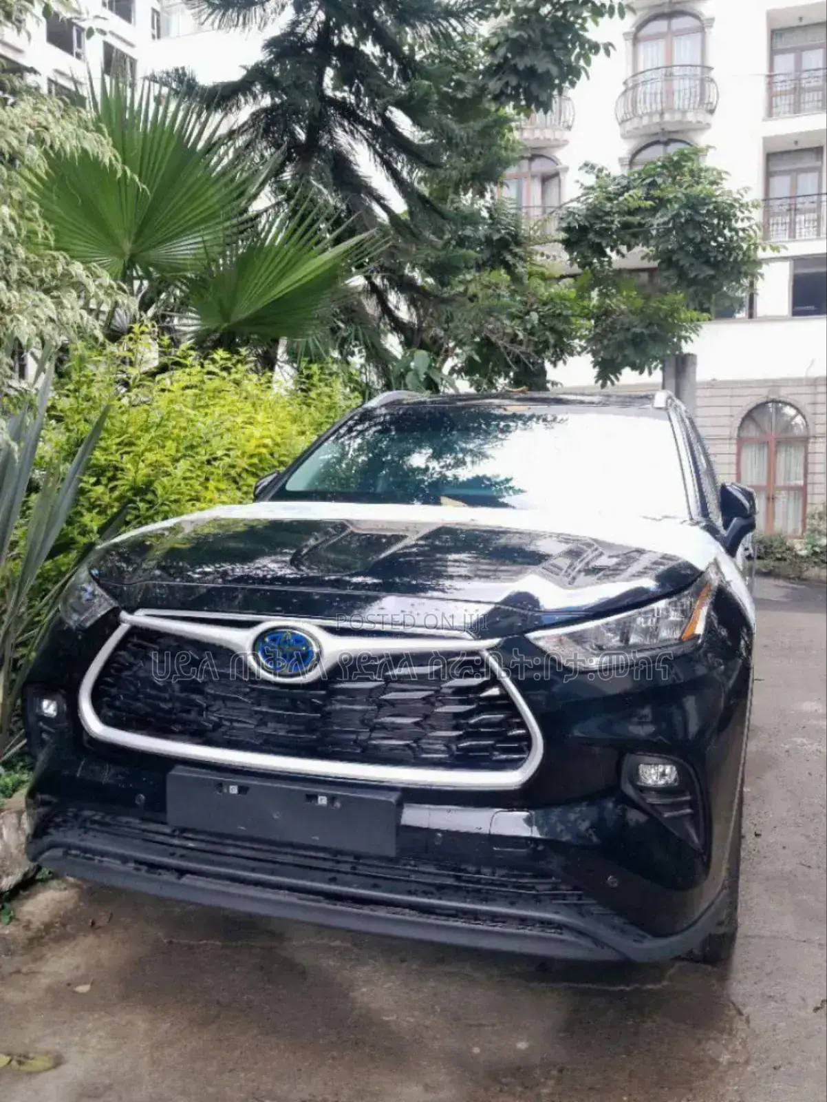 New Toyota Highlander Hybrid 2024 Black