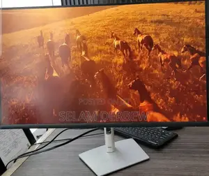 Frame Less Monitor
