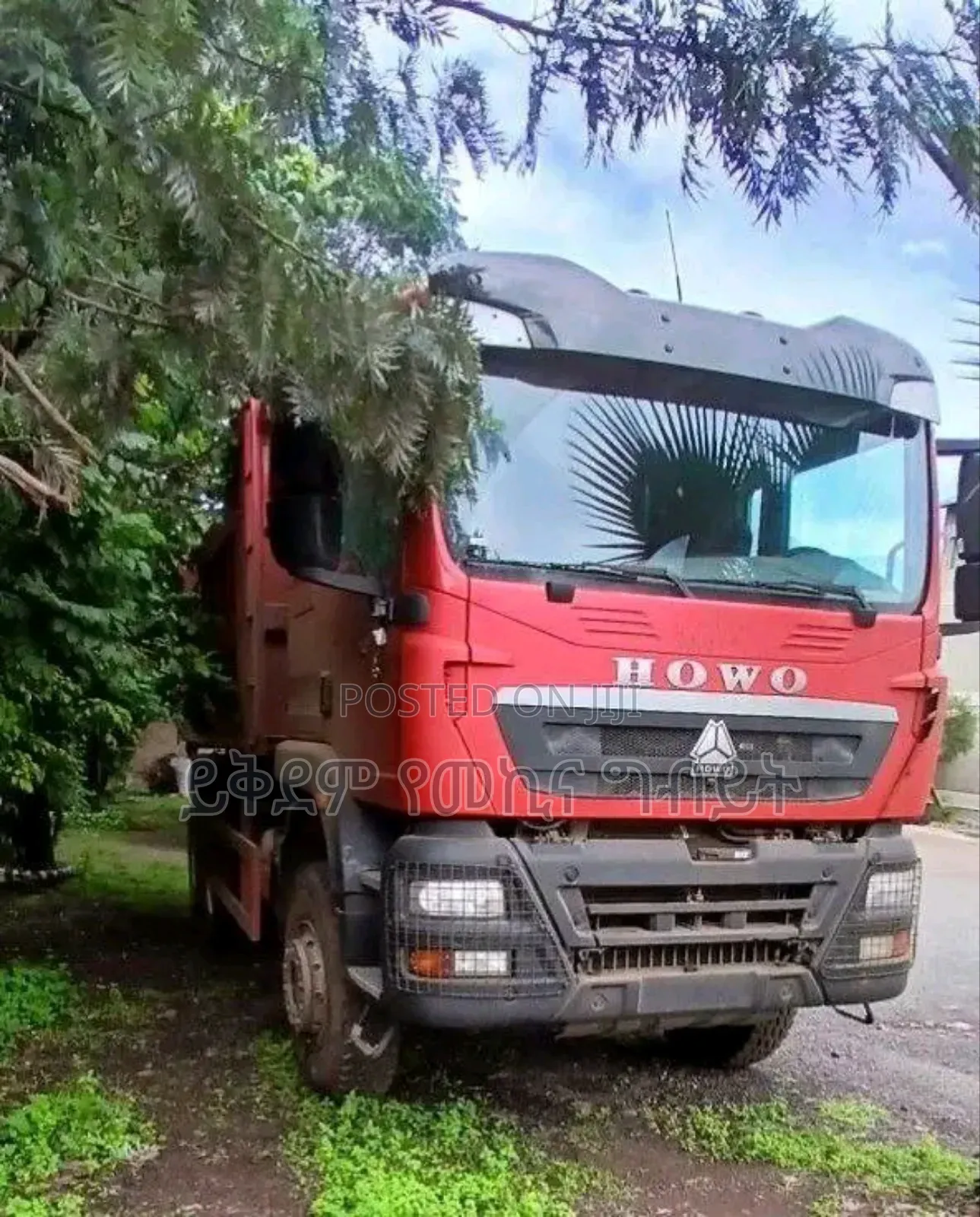 Dump Truck Tx-336hp 50% Bank