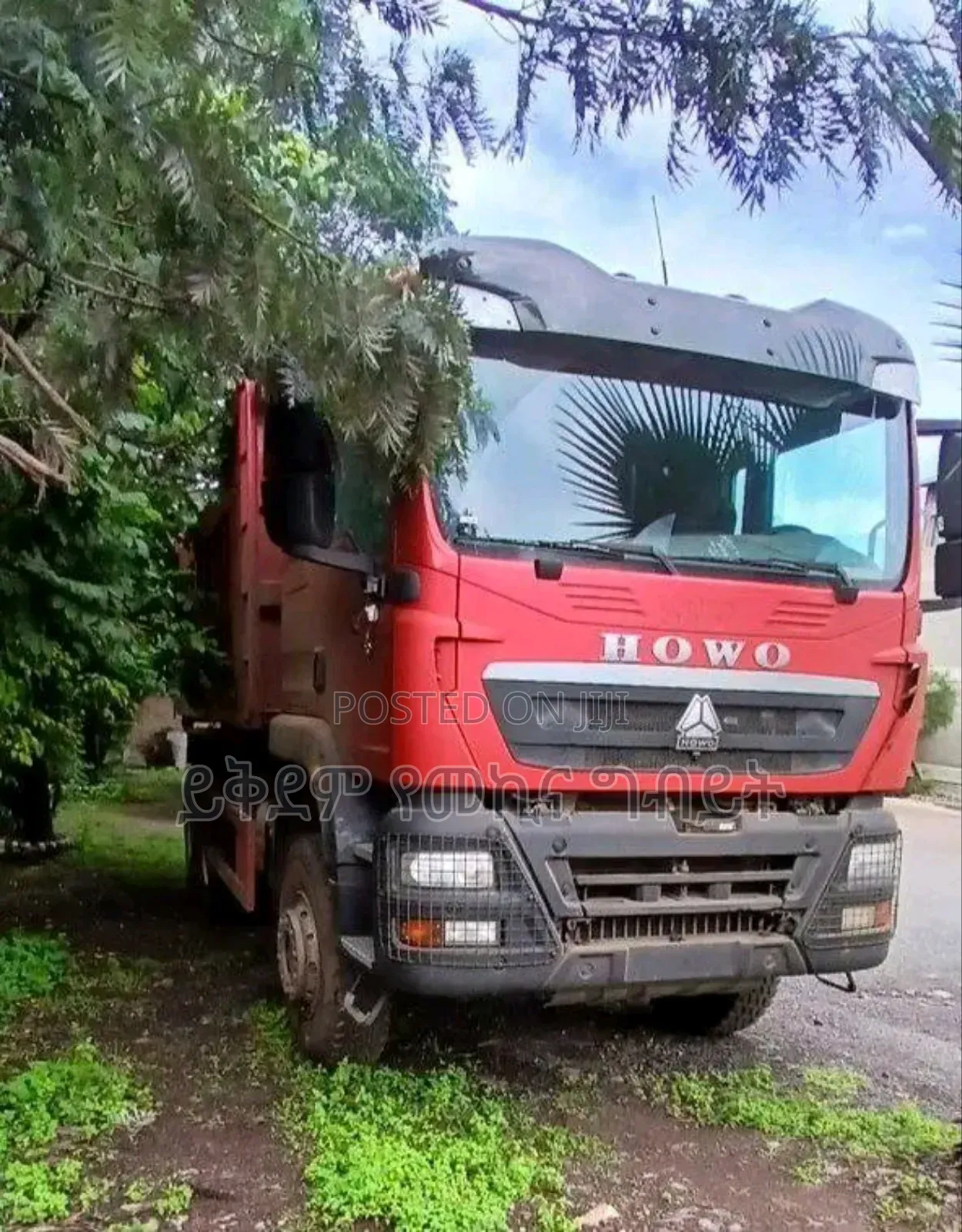 Dump Truck Tx-336hp 50% Bank