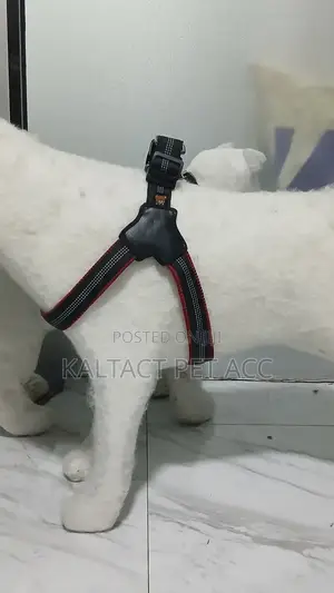 Complet Saddle Dog Harness