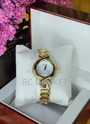 Ck Watch Gift Purpose