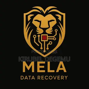Data Recovery