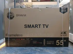 Bravia 55 Inch Tv