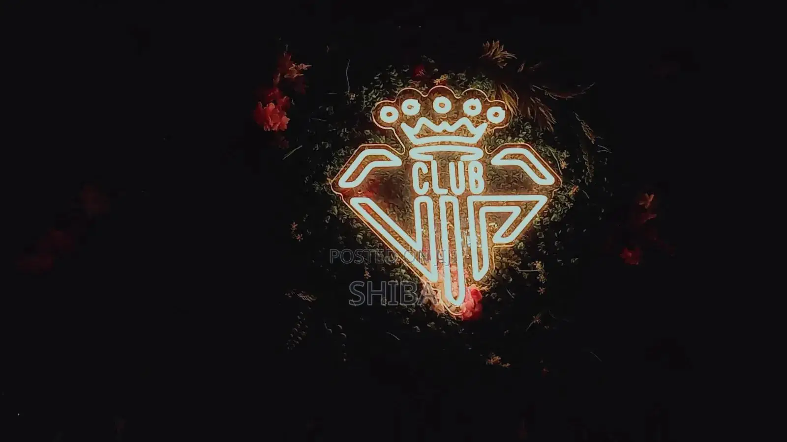 Neon Light