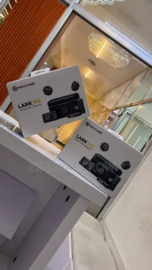 Microphone System