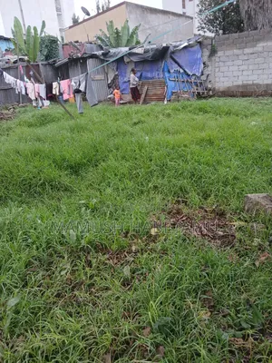 የሚሸጥ አአስተማማኝ ቦታ