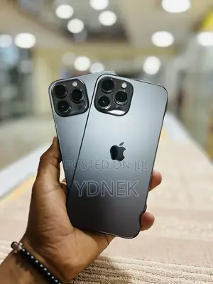 Apple iPhone 13 Pro Max 256 GB Silver