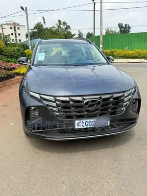 Hyundai Tucson Sport 2021 Gray