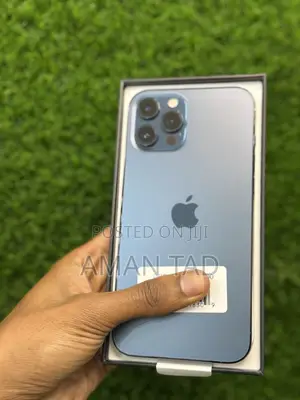 New Apple iPhone 12 Pro Max 256 GB Blue