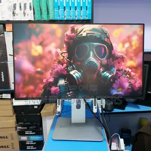 Dell 24 Inch Framless Monitor