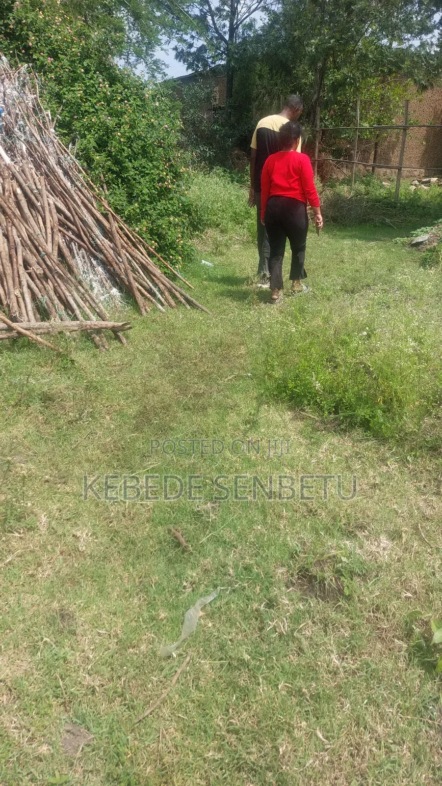 Agriculture Land for Sale or Rent