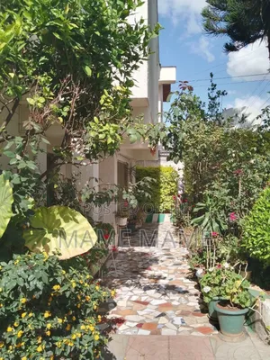 5bdrm House in Addis Abeba, Bole for rent