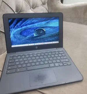 New Laptop HP Chromebook 11 G4 4GB Intel Celeron SSD 16 GB