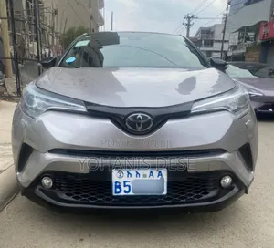 Toyota C-HR 2019 Gray