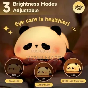 Cute Panda Night Light Usb Rechargeable 3 Brightness Levels, Auto Time