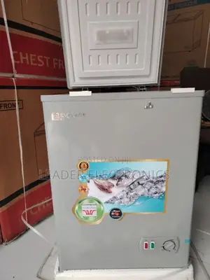 Everest Chest Freezer 170