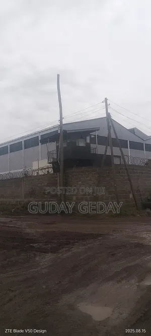 መጋዘን Warehouse ቃሊቲ 6000kare