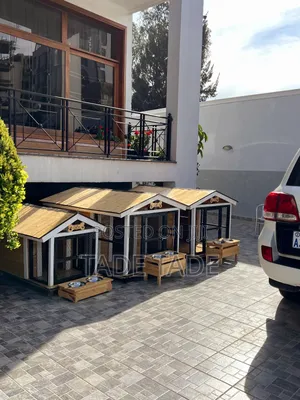 Amazing Dog House