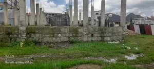 7bdrm Farm House in East Shewa for rent