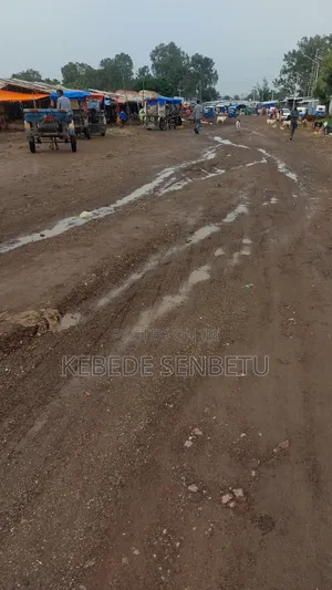 3bdrm House in East Shewa for rent