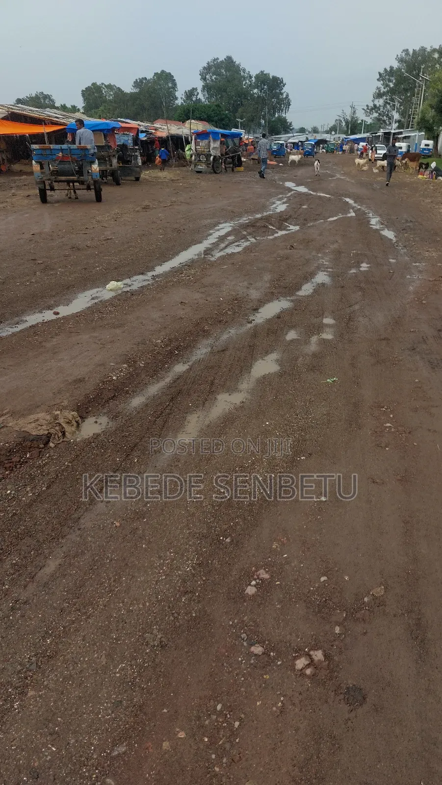 3bdrm House in East Shewa for rent