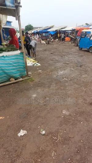 3bdrm House in East Shewa for rent