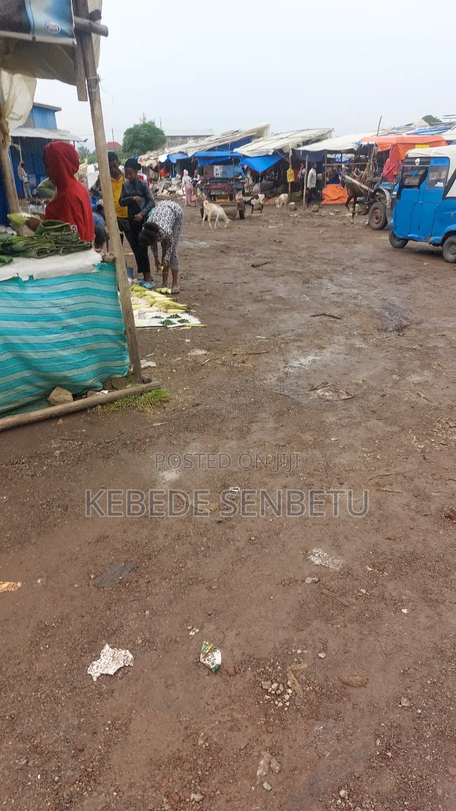 3bdrm House in East Shewa for rent