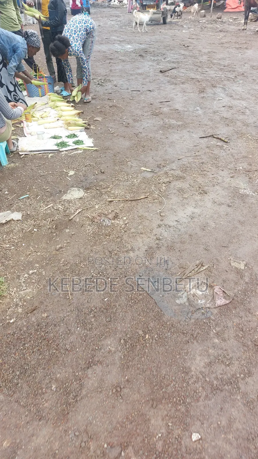 3bdrm House in East Shewa for rent
