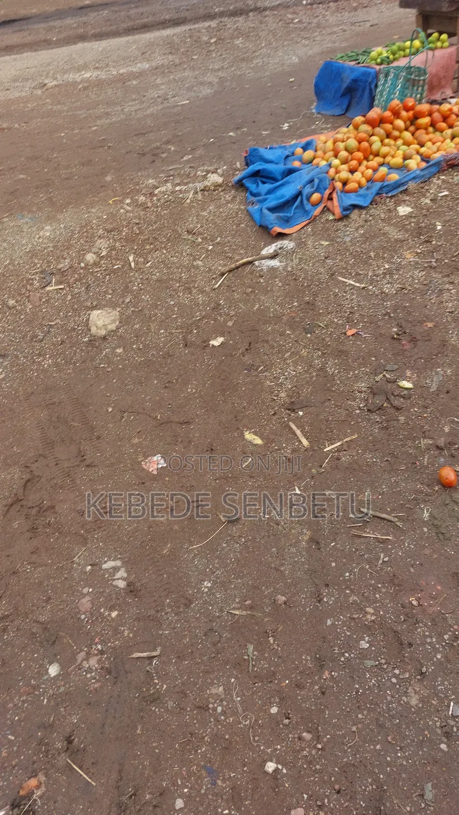 3bdrm House in East Shewa for rent