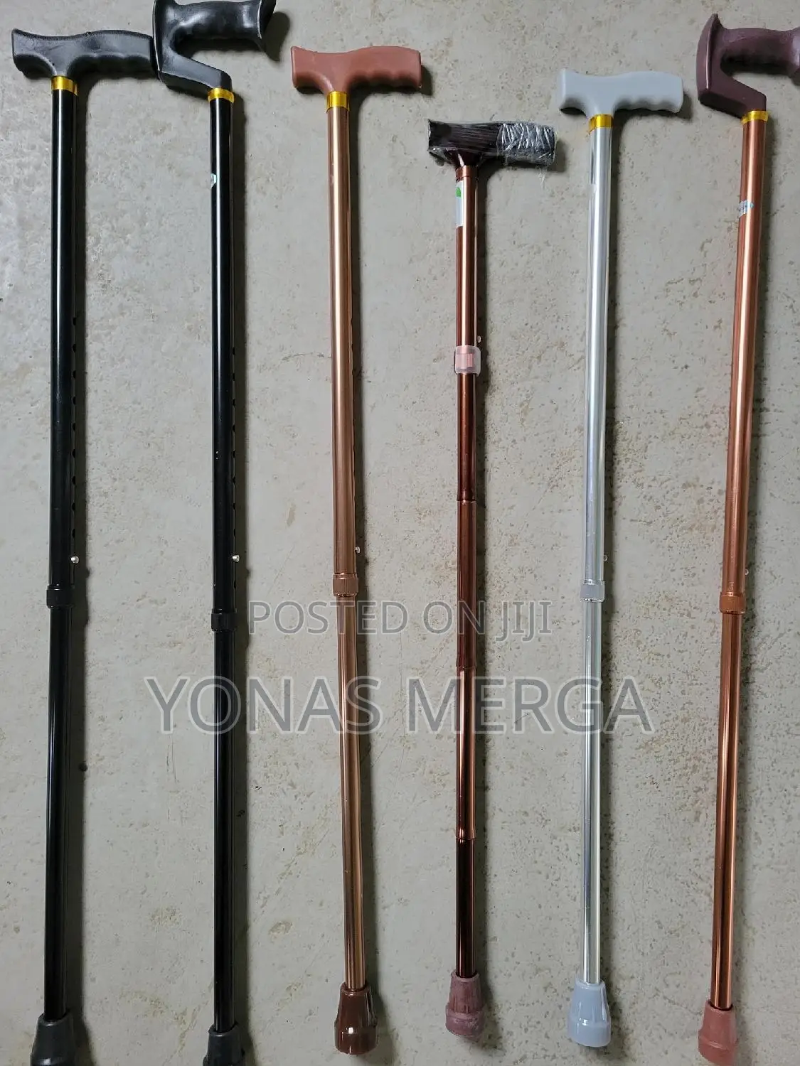 Walking Stick