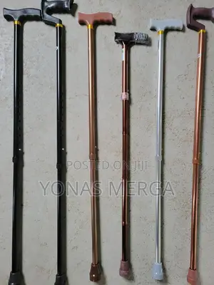 Walking Stick