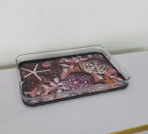 Rectangular Acrylic Plates