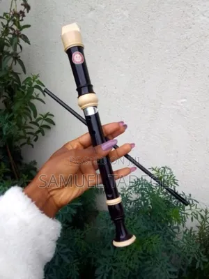 Guitar or Flute
